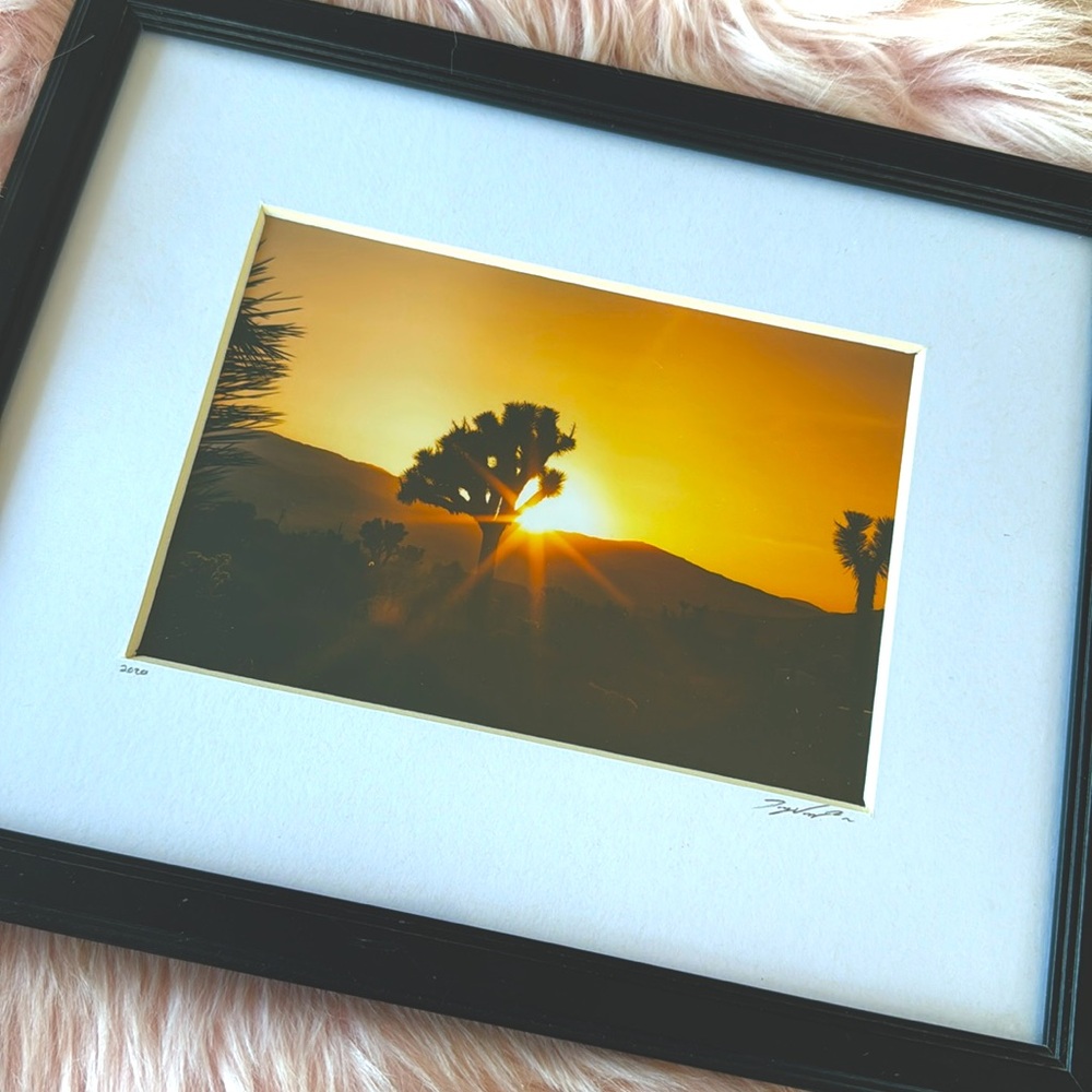 Joshua Tree Art